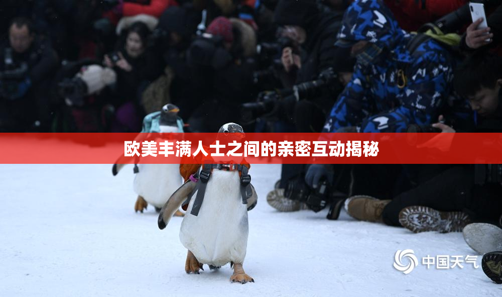 欧美丰满人士之间的亲密互动揭秘