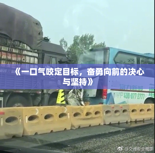 《一口气咬定目标，奋勇向前的决心与坚持》