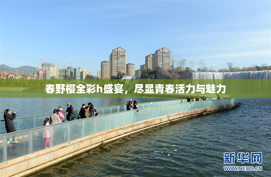 春野樱全彩h盛宴，尽显青春活力与魅力