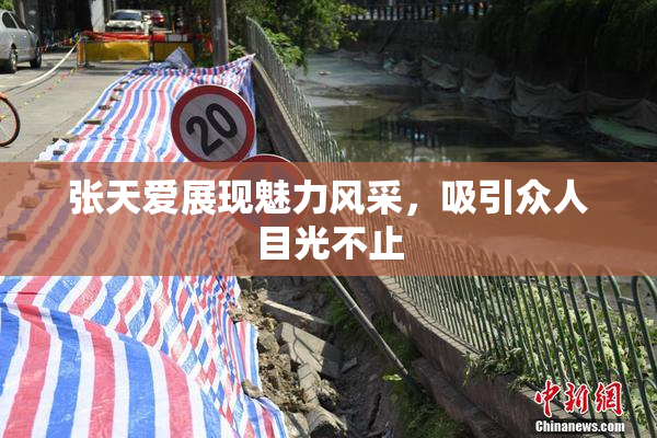 张天爱展现魅力风采，吸引众人目光不止