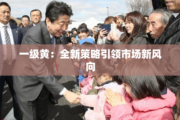 一级黄：全新策略引领市场新风向