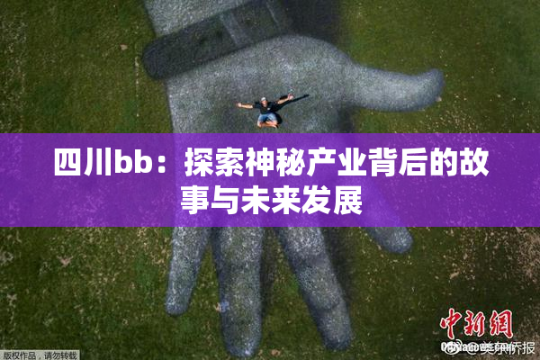 四川bb：探索神秘产业背后的故事与未来发展