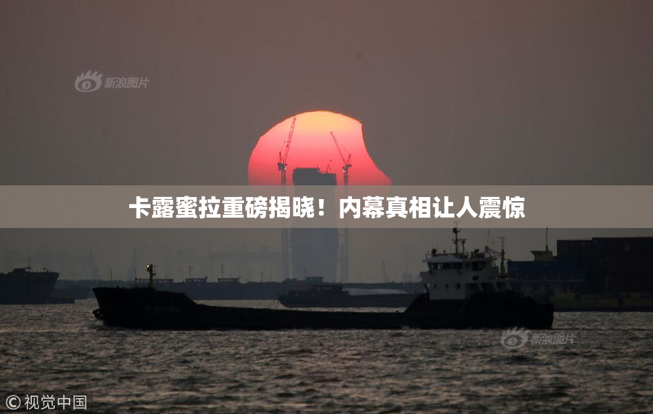 卡露蜜拉重磅揭晓！内幕真相让人震惊
