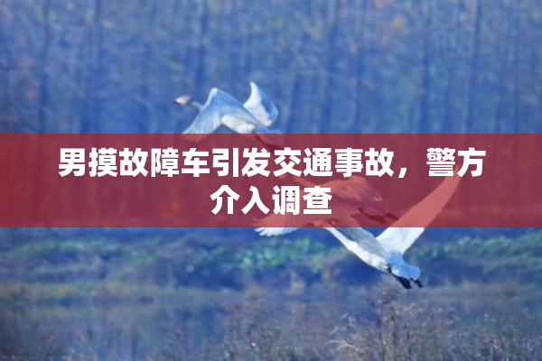 男摸故障车引发交通事故，警方介入调查