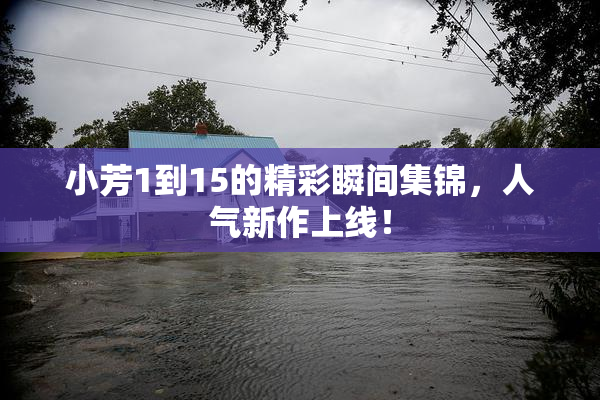 小芳1到15的精彩瞬间集锦，人气新作上线！