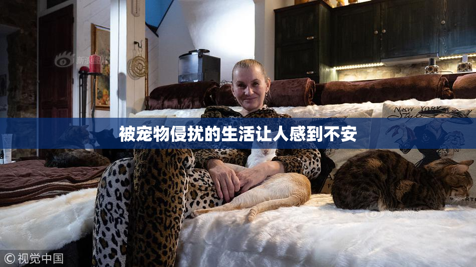 被宠物侵扰的生活让人感到不安