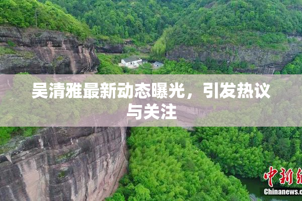 吴清雅最新动态曝光，引发热议与关注