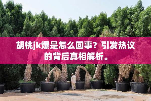胡桃jk爆是怎么回事？引发热议的背后真相解析。
