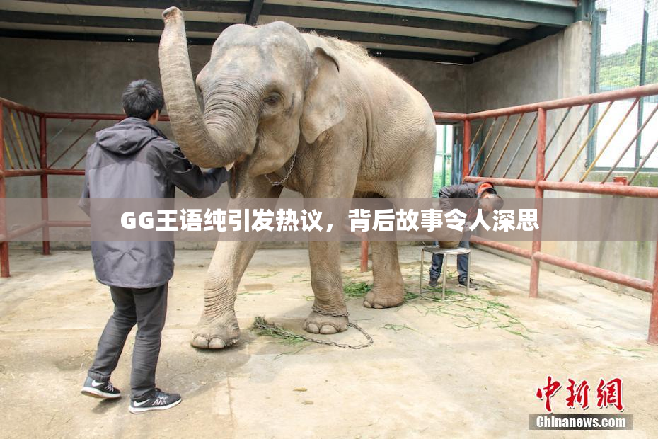 GG王语纯引发热议，背后故事令人深思