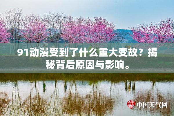 91动漫受到了什么重大变故？揭秘背后原因与影响。