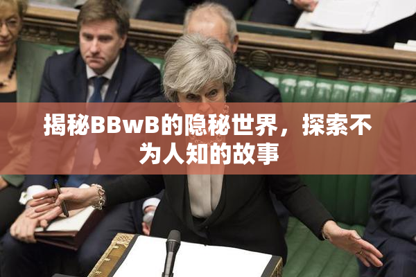 揭秘BBwB的隐秘世界，探索不为人知的故事