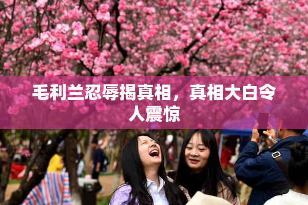 毛利兰忍辱揭真相，真相大白令人震惊