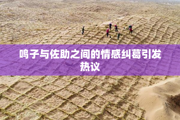 鸣子与佐助之间的情感纠葛引发热议