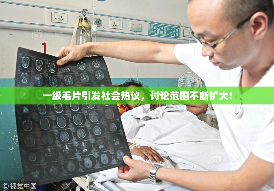 一级毛片引发社会热议，讨论范围不断扩大！
