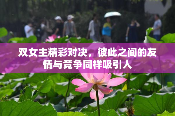 双女主精彩对决，彼此之间的友情与竞争同样吸引人