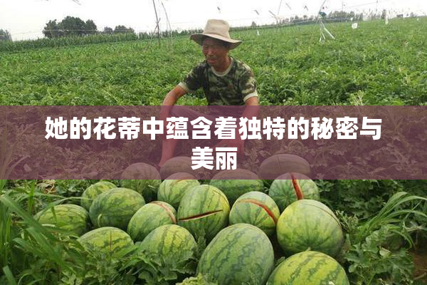 她的花蒂中蕴含着独特的秘密与美丽