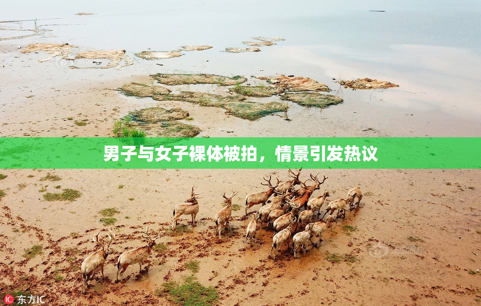 男子与女子裸体被拍，情景引发热议