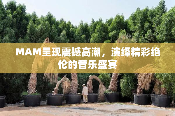 MAM呈现震撼高潮，演绎精彩绝伦的音乐盛宴