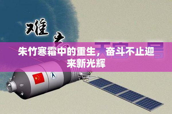 朱竹寒霜中的重生，奋斗不止迎来新光辉