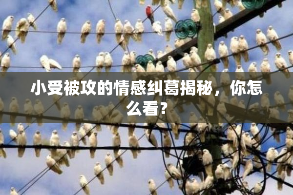 小受被攻的情感纠葛揭秘，你怎么看？
