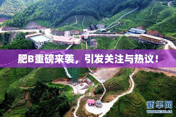 肥B重磅来袭，引发关注与热议！