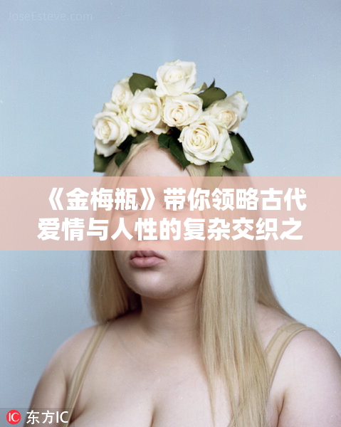 《金梅瓶》带你领略古代爱情与人性的复杂交织之美