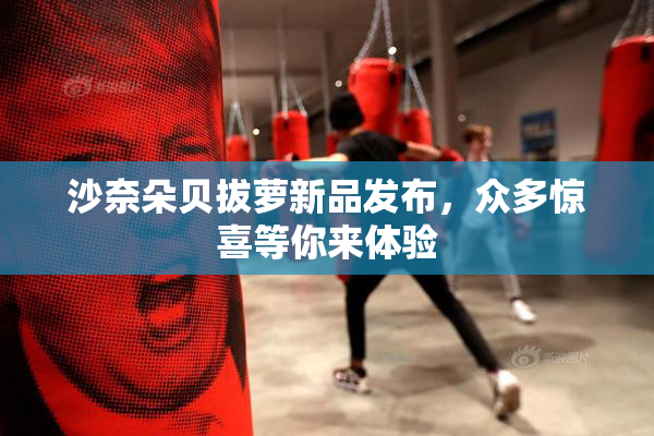 沙奈朵贝拔萝新品发布，众多惊喜等你来体验
