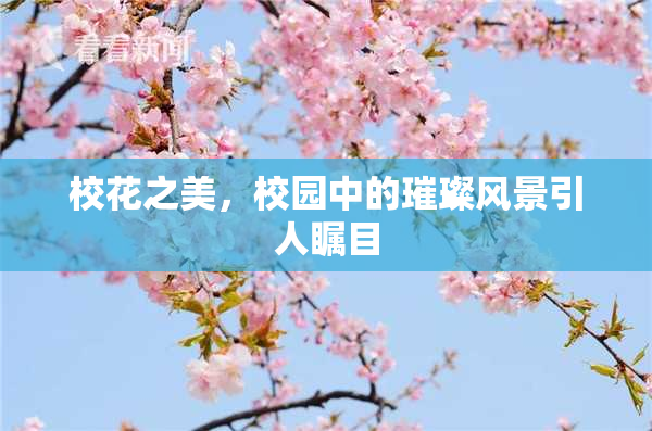 校花之美，校园中的璀璨风景引人瞩目