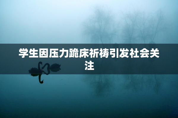 学生因压力跪床祈祷引发社会关注