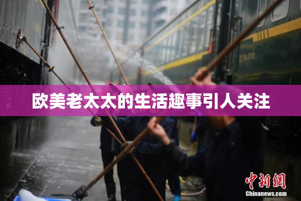 欧美老太太的生活趣事引人关注