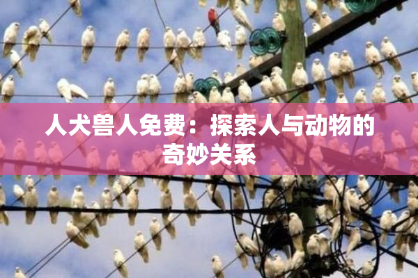 人犬兽人免费：探索人与动物的奇妙关系