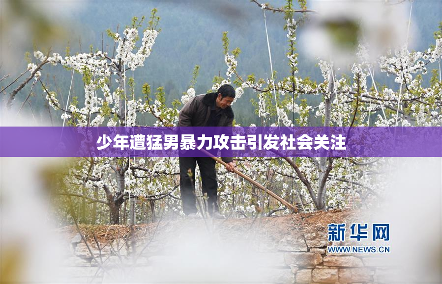 少年遭猛男暴力攻击引发社会关注