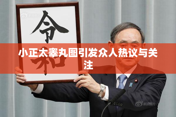小正太睾丸图引发众人热议与关注