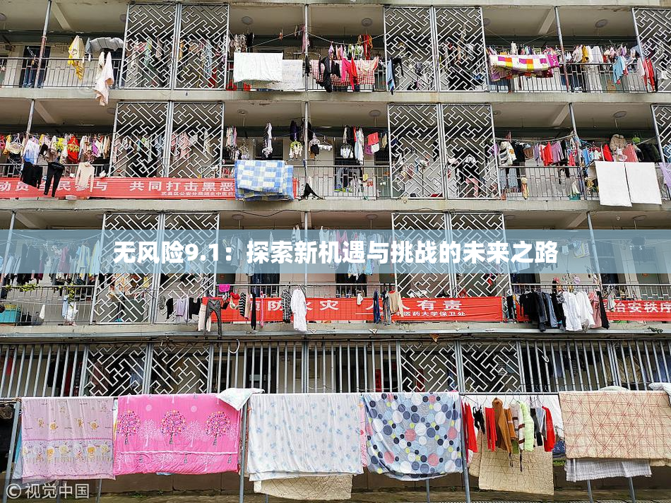 无风险9.1：探索新机遇与挑战的未来之路