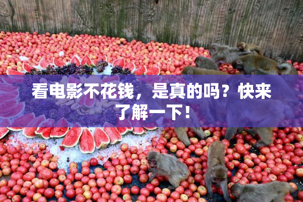 看电影不花钱，是真的吗？快来了解一下！