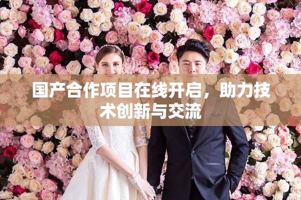 国产合作项目在线开启，助力技术创新与交流