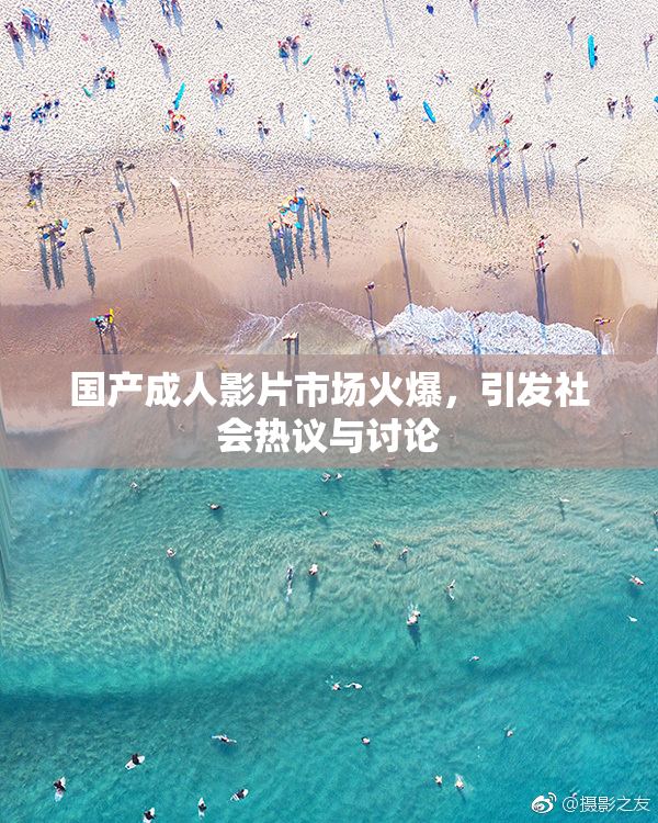 国产成人影片市场火爆，引发社会热议与讨论