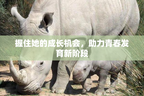 握住她的成长机会，助力青春发育新阶段