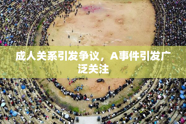 成人关系引发争议，A事件引发广泛关注