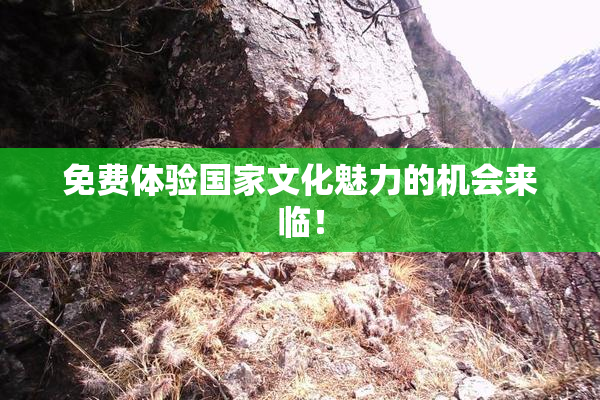 免费体验国家文化魅力的机会来临！