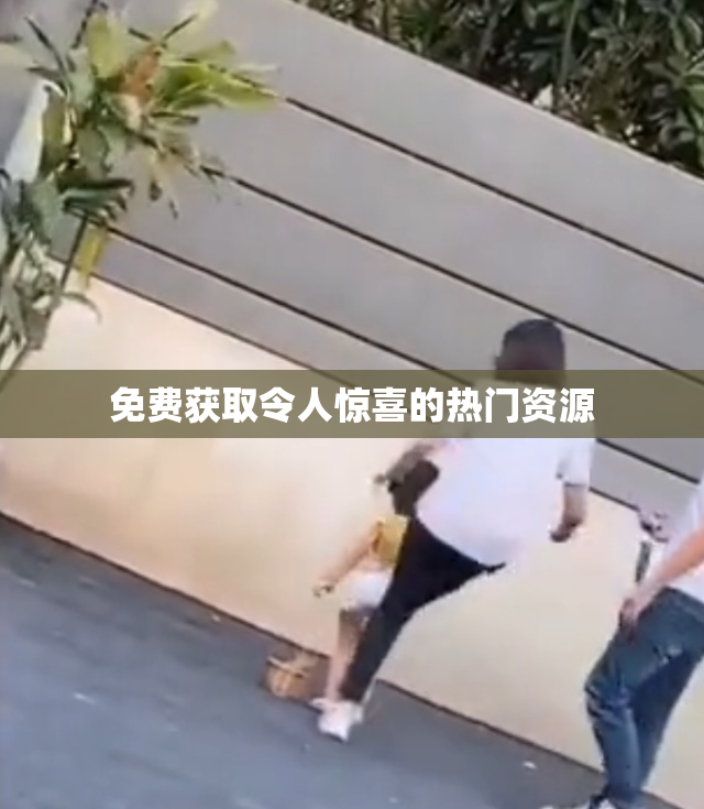 免费获取令人惊喜的热门资源