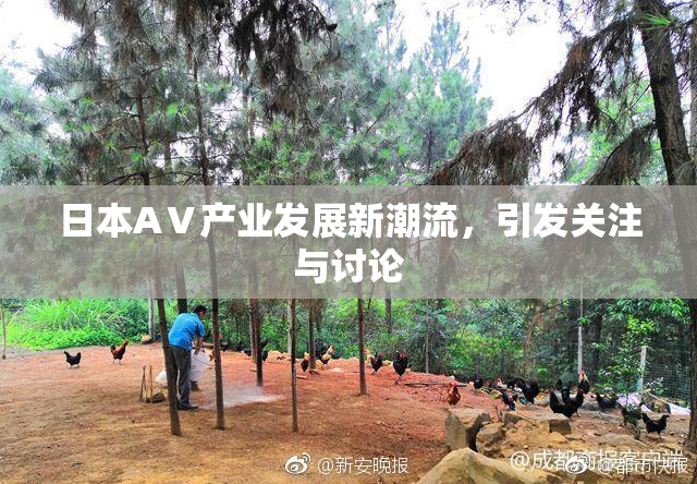 日本AⅤ产业发展新潮流，引发关注与讨论