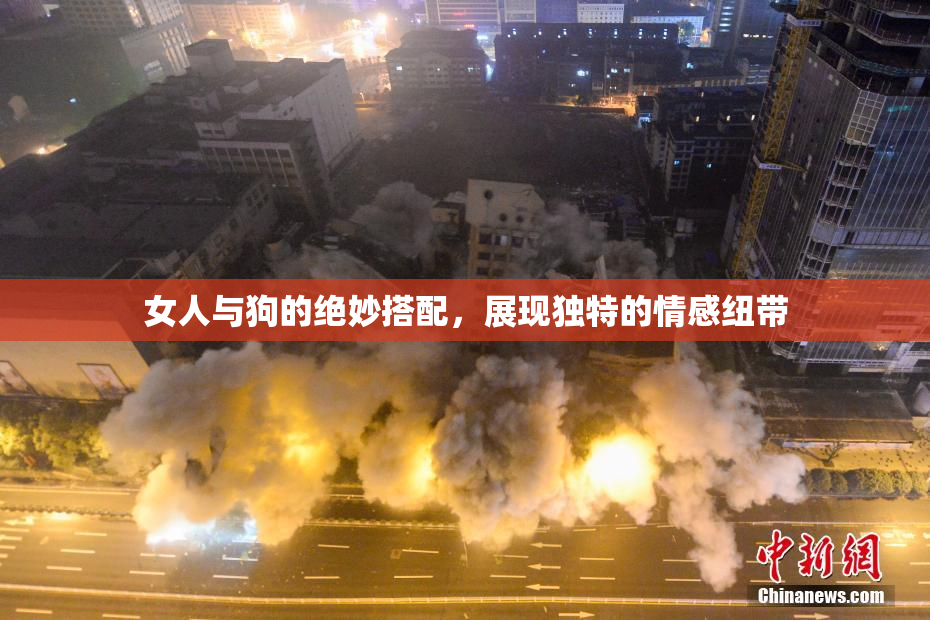 女人与狗的绝妙搭配，展现独特的情感纽带