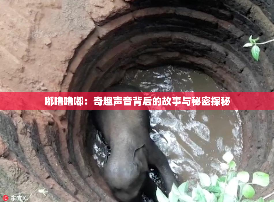 嘟噜噜嘟：奇趣声音背后的故事与秘密探秘