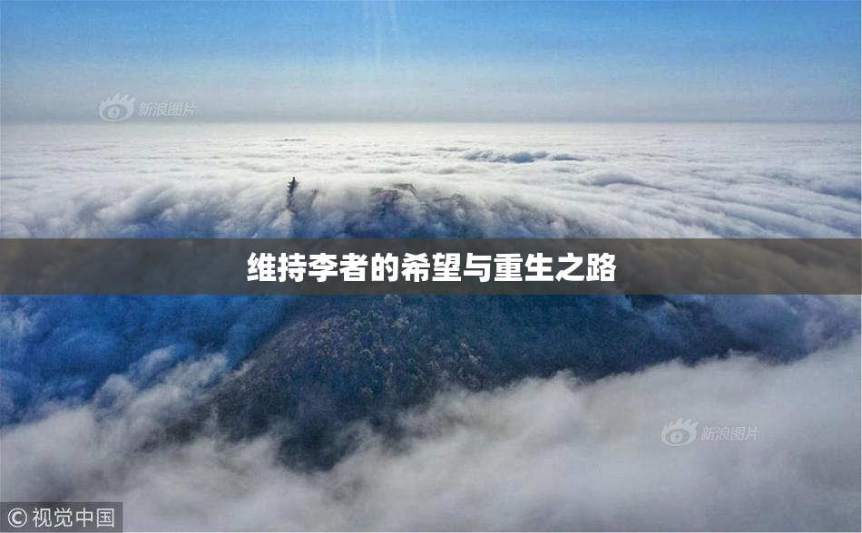 维持李者的希望与重生之路