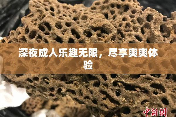 深夜成人乐趣无限，尽享爽爽体验