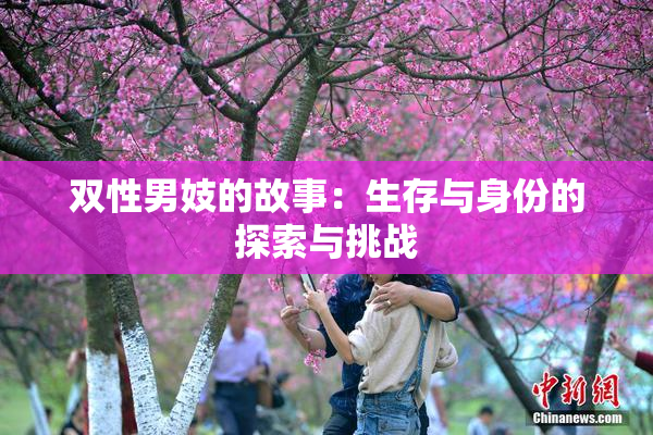 双性男妓的故事：生存与身份的探索与挑战
