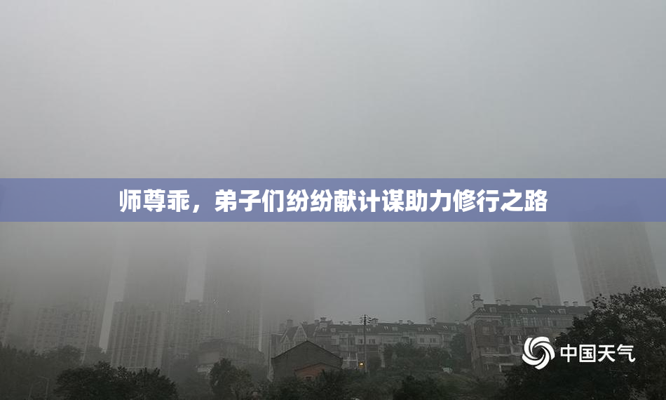 师尊乖，弟子们纷纷献计谋助力修行之路