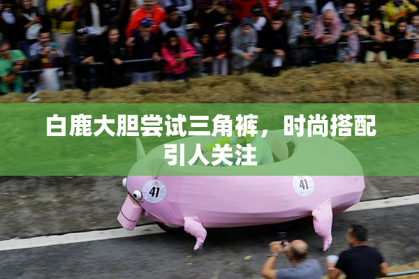 白鹿大胆尝试三角裤，时尚搭配引人关注