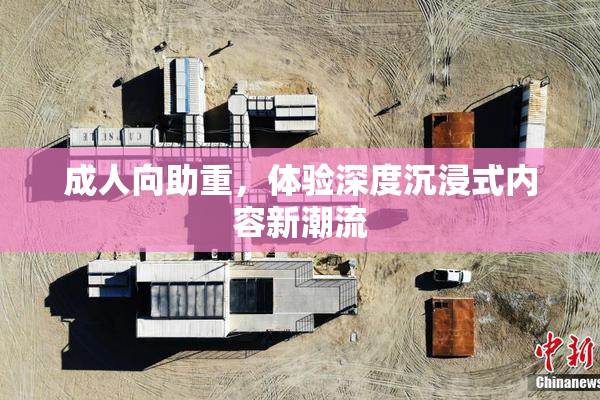 成人向助重，体验深度沉浸式内容新潮流